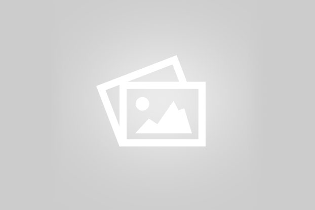 Palange Barfi “Snow Leopard” Advertising Services (SLP) logo